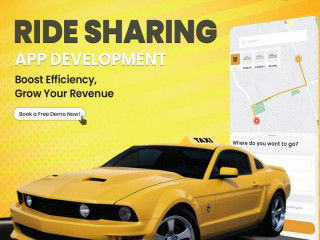 taxi-app-development-solutions-for-modern-entrepreneurs-spotnrides